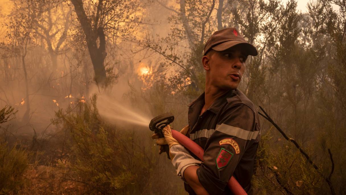 Un élément de la Protection civile en lutte contre les flammes ayant ravagé des forêts au nord du Maroc, à Larache, le 15 juillet 2022.
